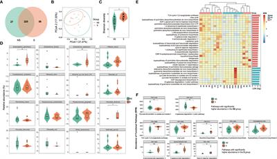 Smoking by altering the peri-implant microbial community structure compromises the responsiveness to treatment